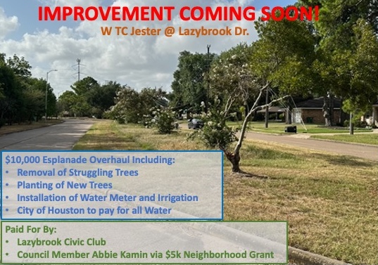 Neighborhood Grant Project Approved!